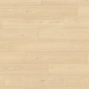 ter Hürne Avatara - 1101250409 Kastanie Rana