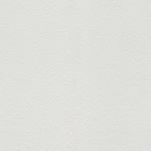 A.S. Création - 104113