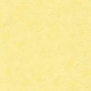 A.S. Création - 169211