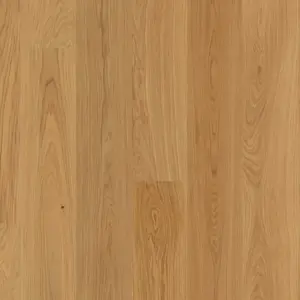 Joka 527 Calgary LD 138 - E0413 Eiche geb. V2