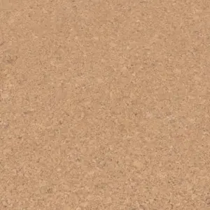 Wicanders Cork Go - GB06002 Ambition