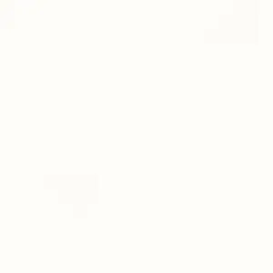 1101130302 Uni glanzweiß