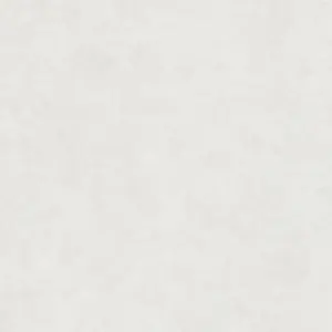 A.S. Création - 116048