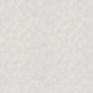 A.S. Création - 153319