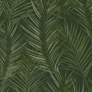 A.S. Création Attractive 2 - 390385