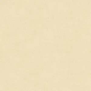 A.S. Création - 301402