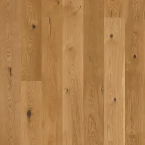 Joka 435 LD Calgary - E6260 Eiche sturkt. V4