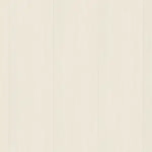 1101130308 Birke grauweiß