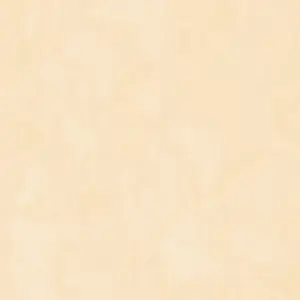 A.S. Création - 184825