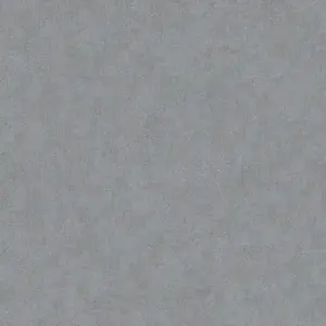 A.S. Création - 301751