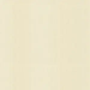 A.S. Création - 301397