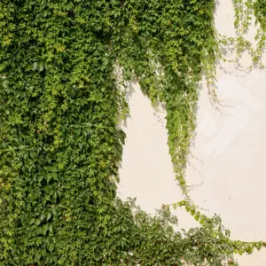 A.S. Création - 392271