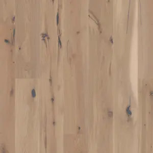 Joka 527 Calgary LD 138 - E8413 Eiche geb. V2