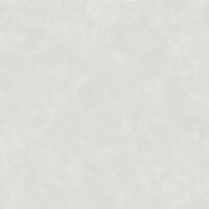 A.S. Création - 301759