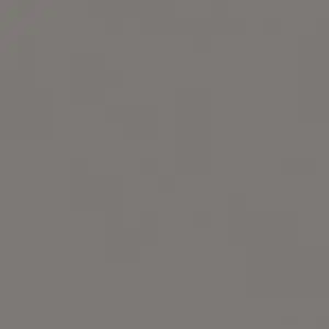 A.S. Création - 303240