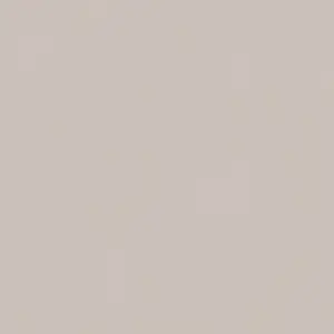 A.S. Création - 303288