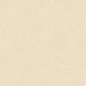 A.S. Création - 301406