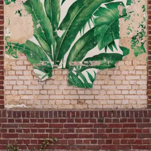 A.S. Création - 392452