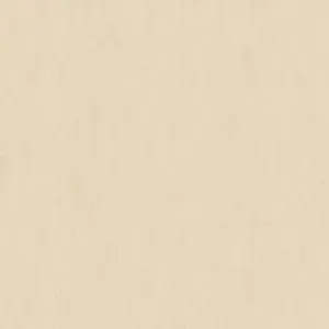 A.S. Création - 301394