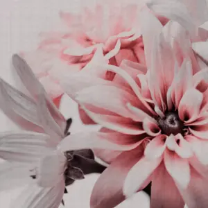 A.S. Création - 382701