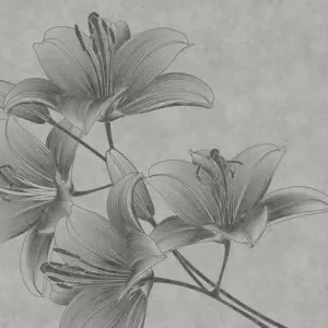 A.S. Création - 382781