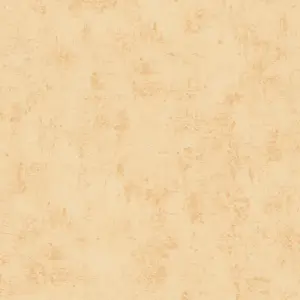 A.S. Création Blooming - 224071