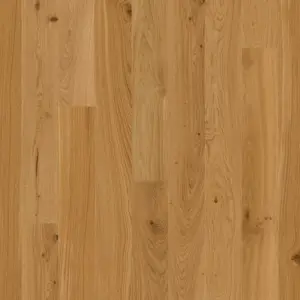 Joka 527 Calgary LD 138 - E3903 Eiche geb. V2