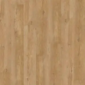 Joka Sinero - 7503 Natural Conifer