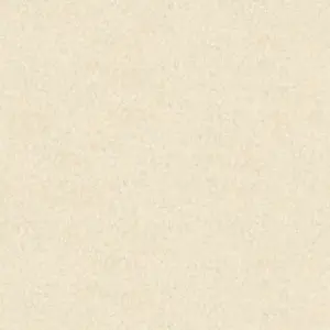 A.S. Création - 301407