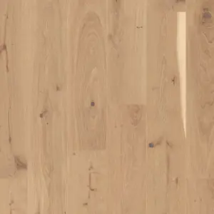 Joka 527 Calgary LD 138 - E5404 Eiche nova geb. V2