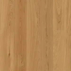 Joka 527 Calgary LD 138 - E0403 Eiche geb. V2